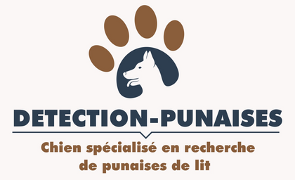 Detection canine Punaises